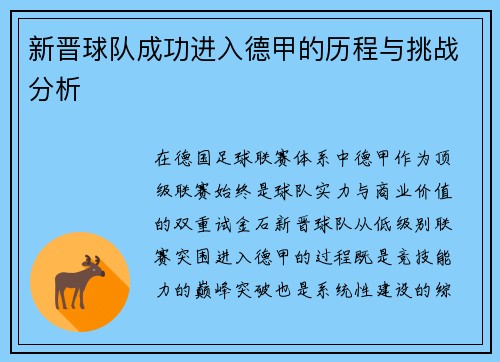 新晋球队成功进入德甲的历程与挑战分析