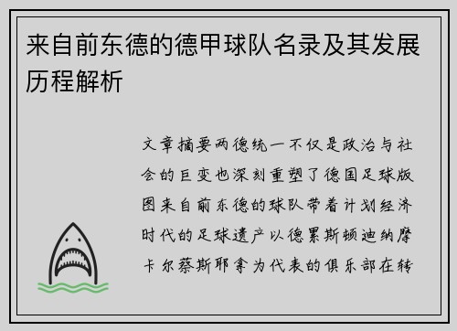 来自前东德的德甲球队名录及其发展历程解析