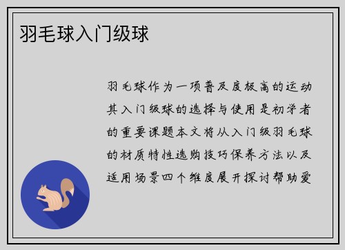 羽毛球入门级球